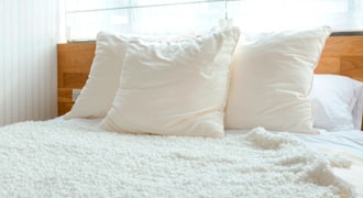 Bed room